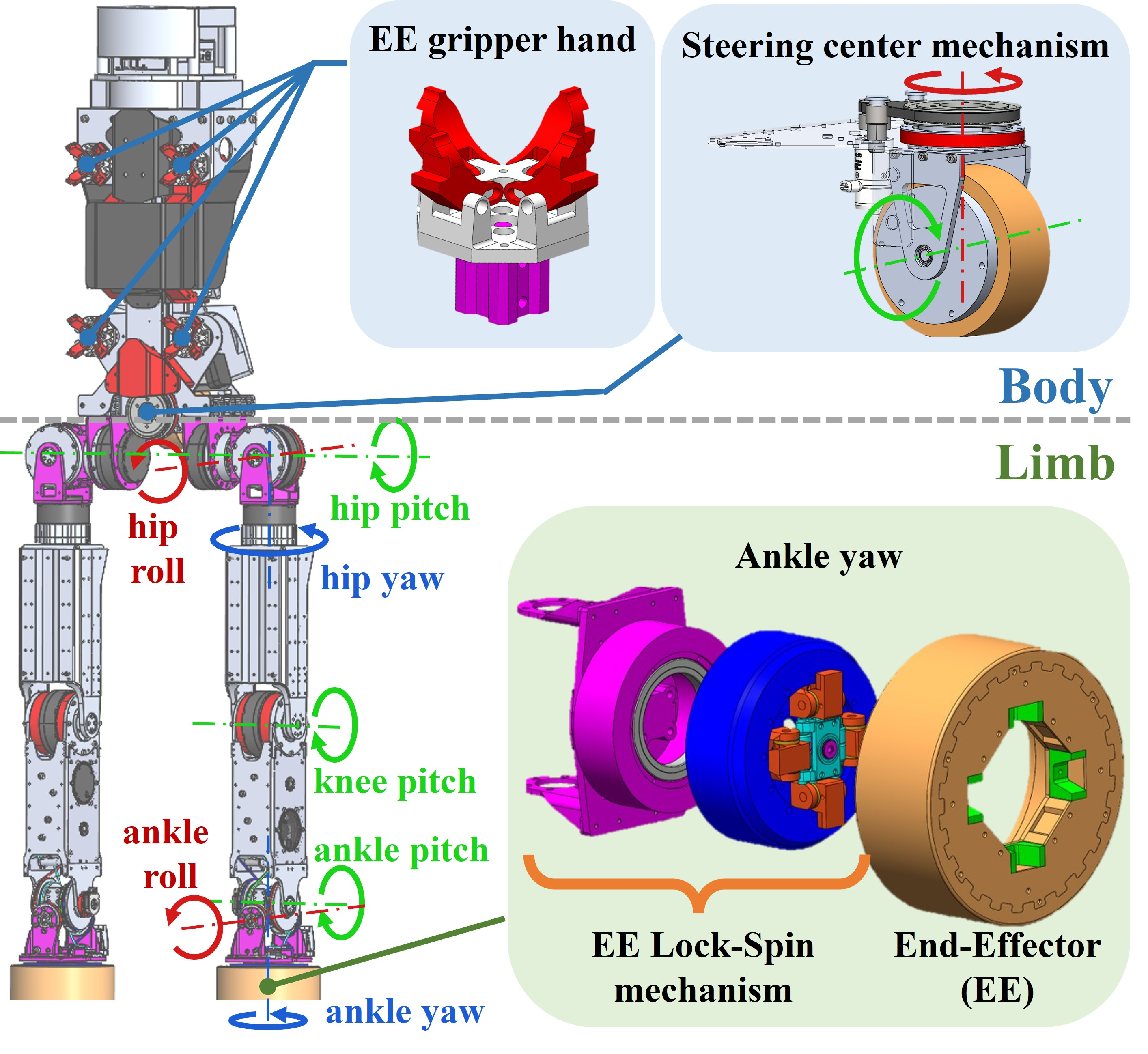 EE Lock-Spin mechanism cross section